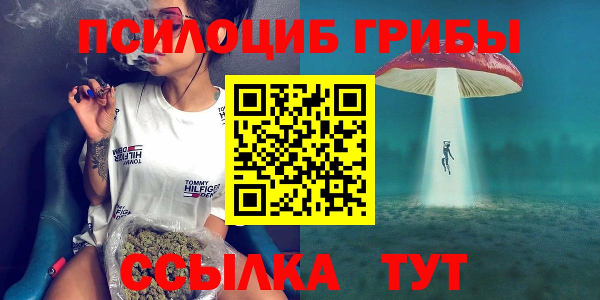 Галлюциногенные грибы Cubensis  Вход с VPN  Топки  Галлюциногенные грибы Psilocybe 